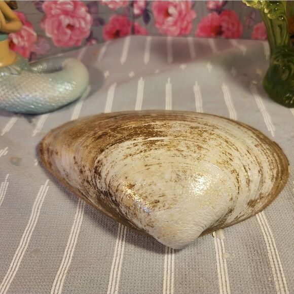 DECOUPAGE CLAM SHELL DECOUPAGE BLUE DESIGN TRINKET DISH - Picture 13 of 13